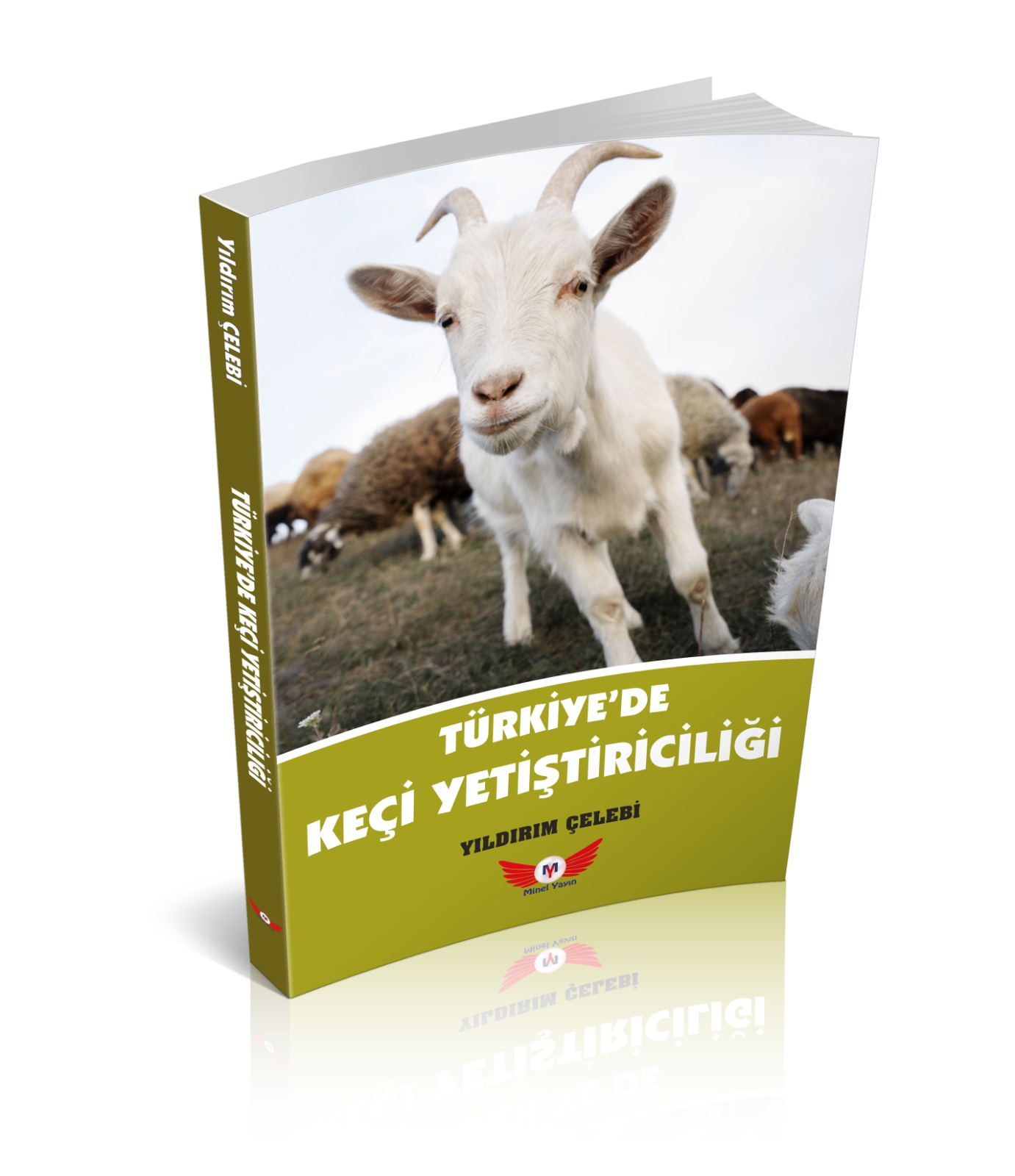 Türkiye'de Keçi Yetiştiriciliği